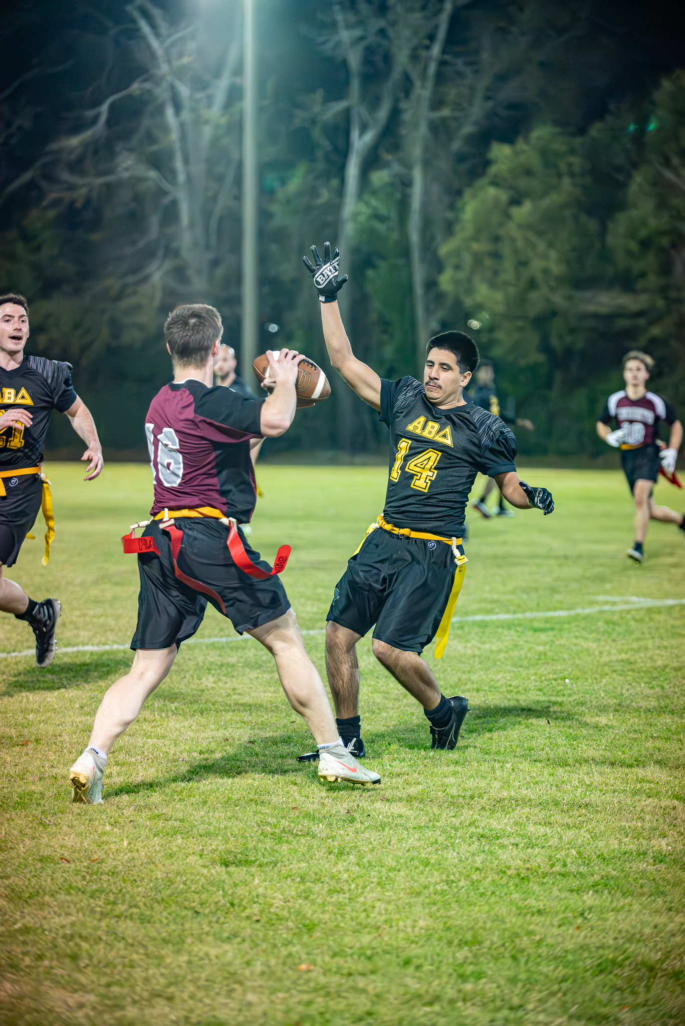 Knights vs. Panthers